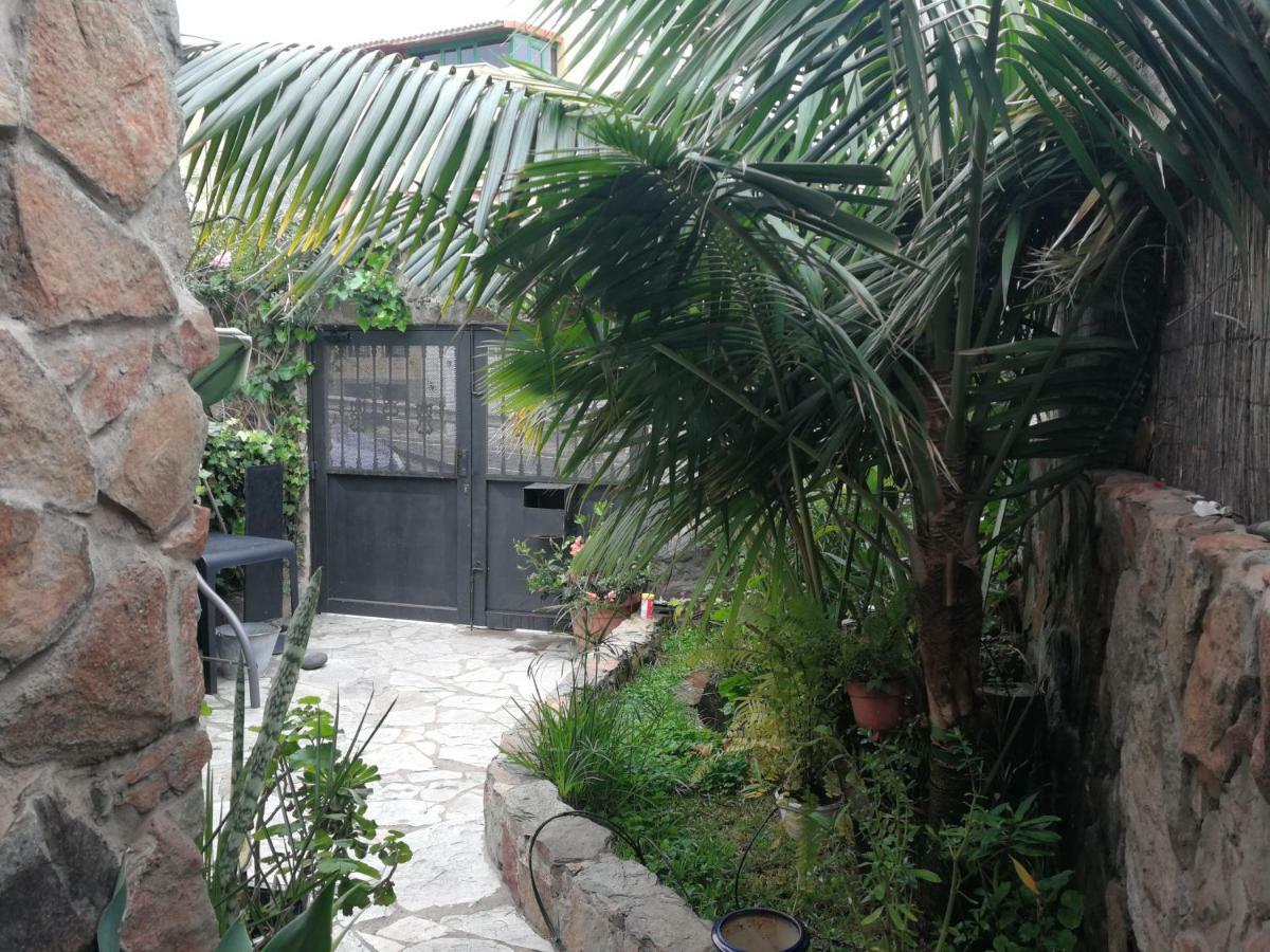 דירות לאס פאלמס דה גראן קנאריה Casa El Drago-Tafira Baja מראה חיצוני תמונה