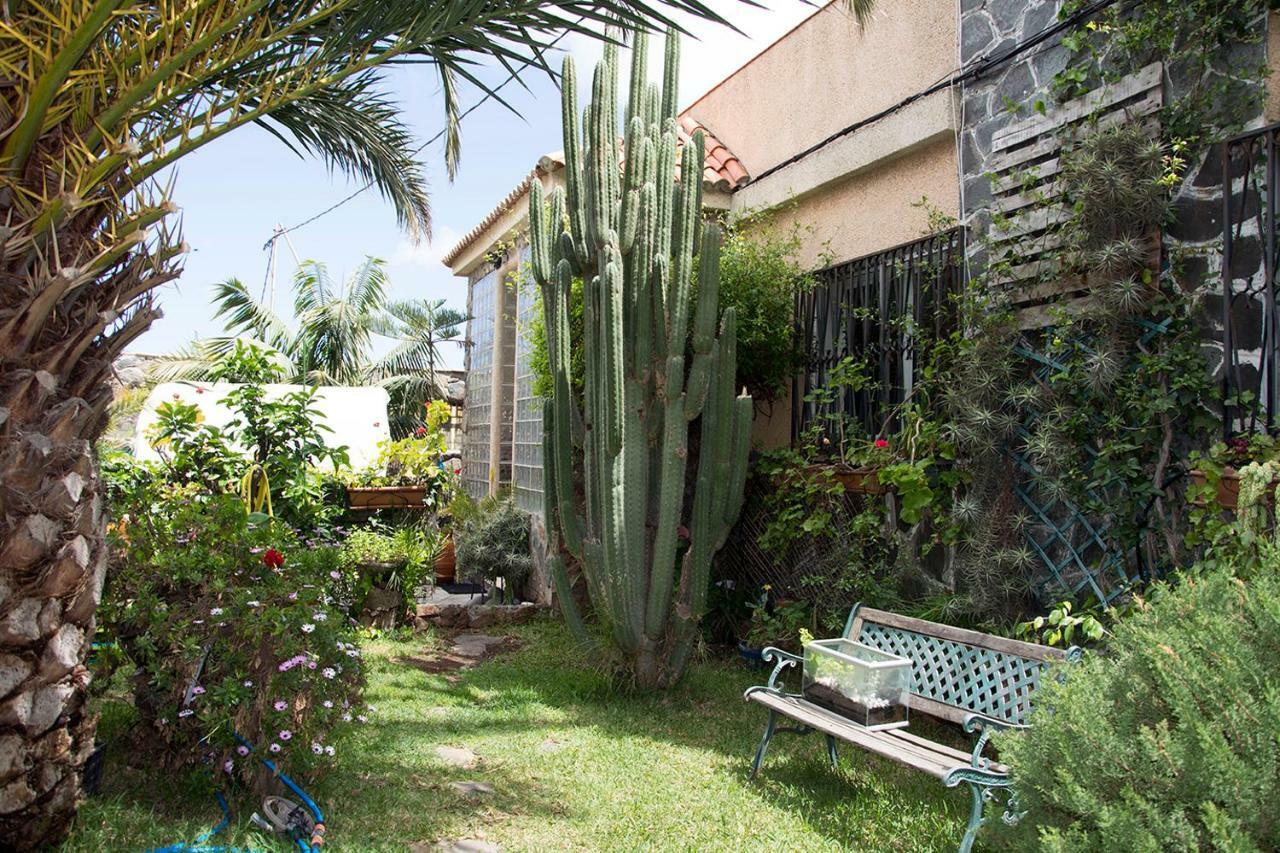 דירות לאס פאלמס דה גראן קנאריה Casa El Drago-Tafira Baja מראה חיצוני תמונה