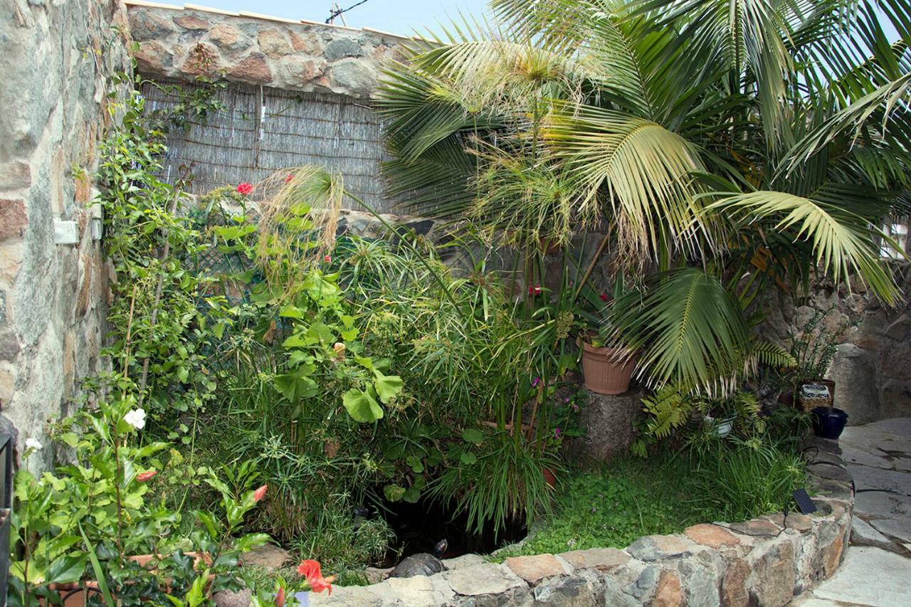 דירות לאס פאלמס דה גראן קנאריה Casa El Drago-Tafira Baja מראה חיצוני תמונה